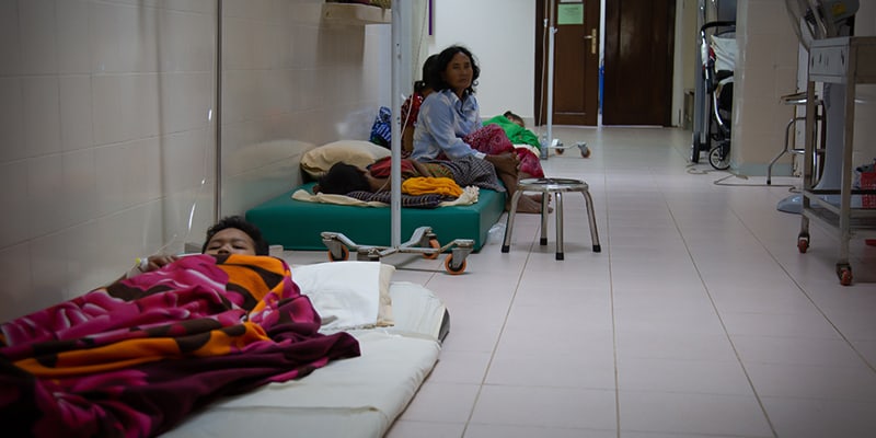 The Korea Herald Climate Change Dengue Fever